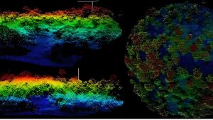 LiDAR in Environmental Conservation