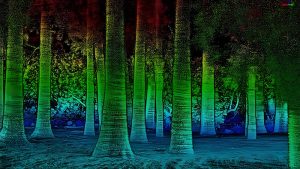 LiDAR in Environmental Monitoring: Protecting Ecosystems and Natural Resources