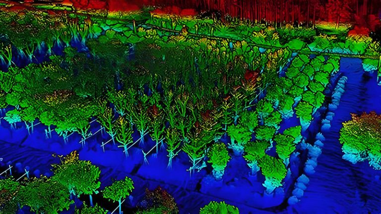 LiDAR in Forestry Management